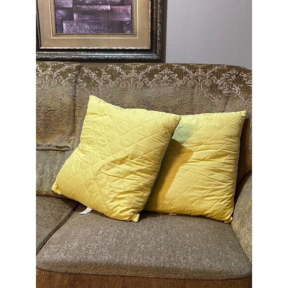 Set of 2 Cushions Filled Pillows, Light Yellow Gray 20 x 20 Inch - Picture 1 of 6